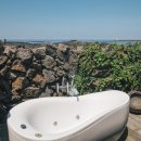 눈먼고래 이미지