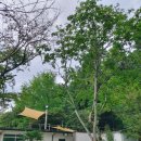 우주슈퍼 이미지