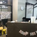 꼬망스펫 이미지