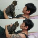 대전 가죽공방 아지트, 주문 제품 후기 및 일상