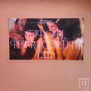 젠(Gen)동물병원 | 대림미술관 《페트라 콜린스: fangirl》 전시 후기 - 몽환적 감성에 숨겨진 10대 시절을 향한 애정