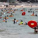 시티목욕장 이미지