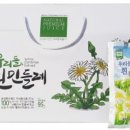 토종흰민들레식품 이미지