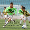 (학교)동명초 이미지