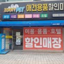 쥬티 펫 이미지