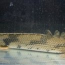 큰산유통 이미지