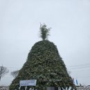 한자보건소  산소마을 | 청도 달집태우기 / 한국 최대의 달집 / 달집태우기 후기 / 상여 보내기