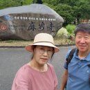 (유)해강환경 | 세계문화유산에 빛나는 공주 마곡사(麻谷寺)