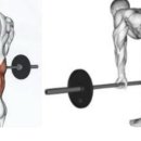 뉴핏 휘트니스 이미지