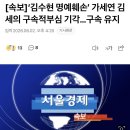 [속보]‘김수현 명예훼손’ 가세연 김세의 구속적부심 기각…구속 유지 이미지