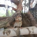 평창농원 이미지