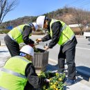 숲속의바다 숲속동 이미지