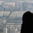 강남빅부동산공인중개사사무소 이미지