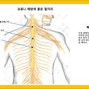 한국발기공