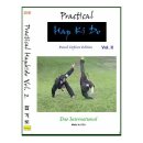 Practical Hapkido DVD - Punch Defense Special Edition 이미지