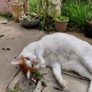 노을가득민박 이미지