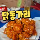 오동축산 | 포항 북구 치킨맛집 닭동가리 양념치킨 순살 후기