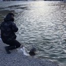 돌다리낚시터 이미지