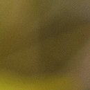 괴정2동-18 이미지