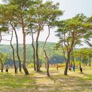 솔숲유원지 이미지