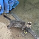 연포 주차장 이미지