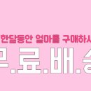 오휘카운셀러 이미지