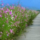 자연과 나 이미지