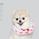 덕수네애견 이미지