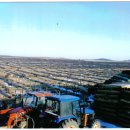 유한농장 이미지