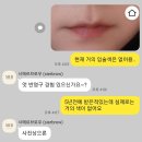[시에르브로우] 강남역 입술반영구 내돈내산 리얼후기