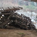 찬이농장 이미지