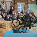 황새둥지 이미지