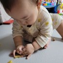 운동화 세탁날 이미지