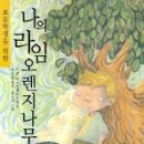 나의라임오렌지나무