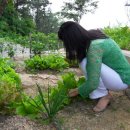 제이에스 농장 이미지