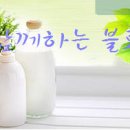법인아름다운날