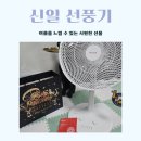 신일 | LG선풍기 고민 후 고른 신일 후기