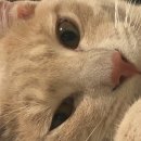 재수드림농장 | 슬기로운 여름방학