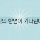 한아름 이미지