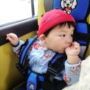 황산농장 | 16개월 아기 어린이집 소풍 딸기따기 체험학습 동행 후기 아기도시락