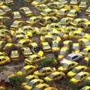 씨즈더데이 이미지