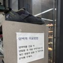 동성로클라이밍짐 | 클라이밍 완전 초보의 일일체험기! 대구 동성로 클라이밍짐 후기