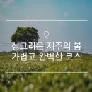 삼달보건진료소 | 제주 가볼만한 곳 | 싱그러운 제주의 봄! 가볍고 완벽한 제주 여행 코스