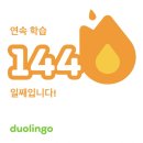 링고영어