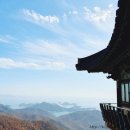 하동편백자연휴양림 이미지