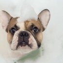 연두동물병원 이미지