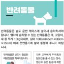 CW-1588-01 이미지