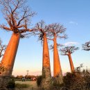 CW-1816-01 이미지