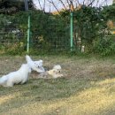 위드티쳐 이미지