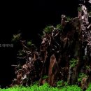 아쿠아프로트레이딩